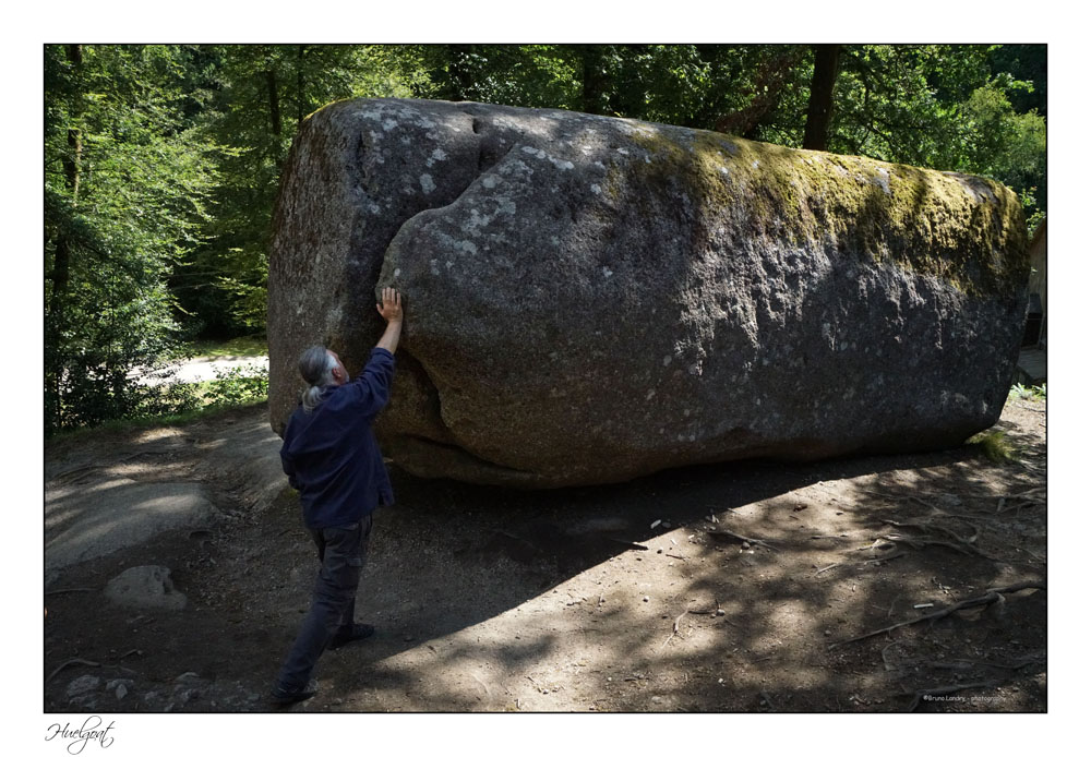 Balade dans la forêt de l'Helgouat 7r204729