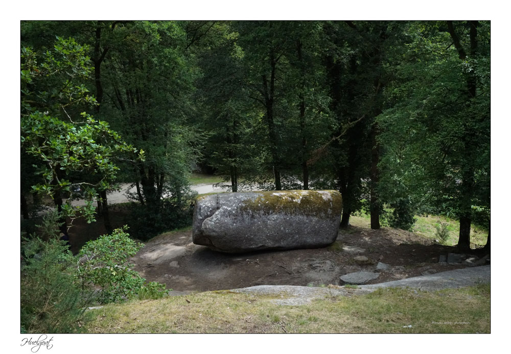 Balade dans la forêt de l'Helgouat 7r204730