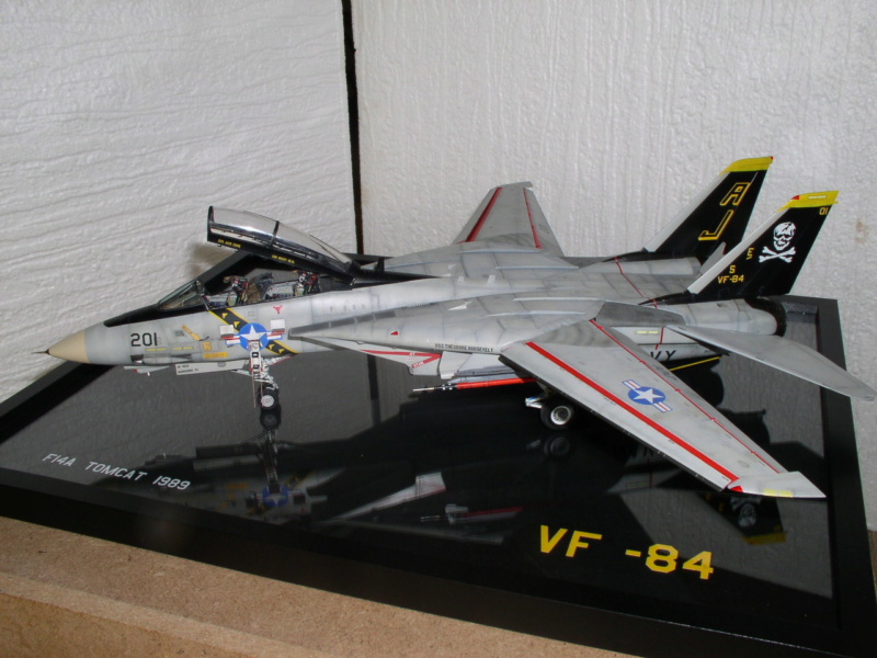 F14 A eduard 1/48...................................terminé 310