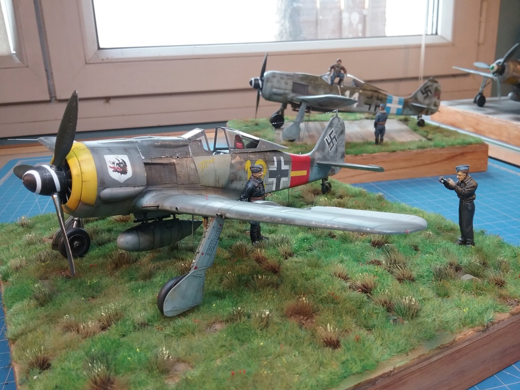 PHOTOS MAQUETTES JEAN-MARC.............................................1/48 et 1/72 Fw190-84