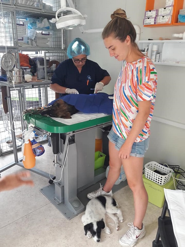 Stérilisation des animaux errants à AVREN - du 23 juillet au 4 août 2018 Envn_l22