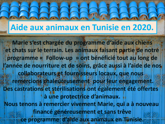 Aides en 2020 aux chiens CCTNA et aux animaux de Tunisie. Lux_2021
