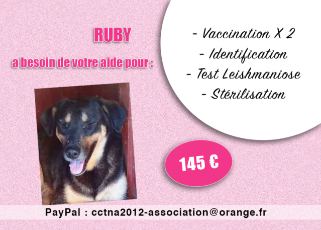 RUBY, 788.269.100.021.079, en FA longue durée dpt 27 Ruby_a10