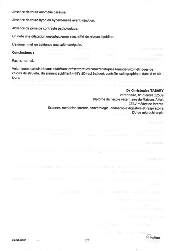 TABATA identifiée 788.269.100.003.993, en FA longue durée dpt 27 - Page 5 Tabata19