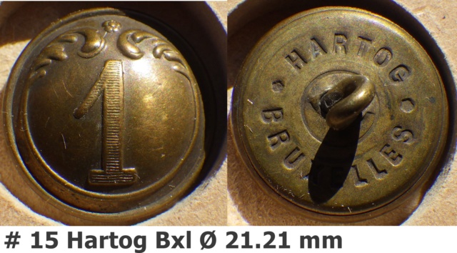 boutons regiment d'infanterie belge Rimg2851