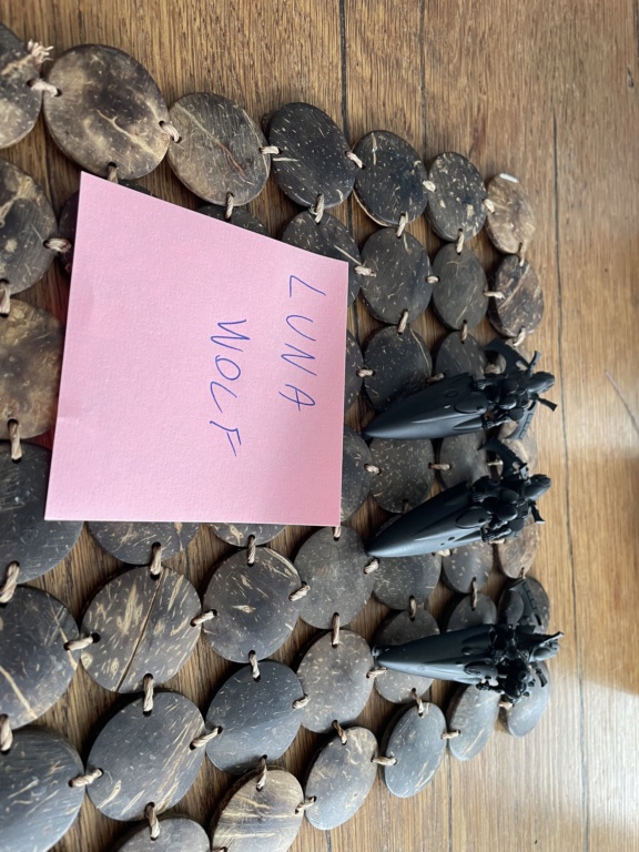 FINI[Giamargos][Saim-Hann] les premiers de l’ost sauvage (180) 800d5910
