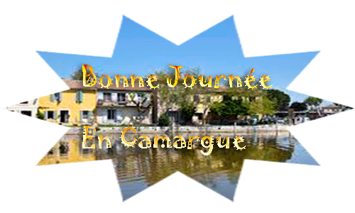 Bonjour bonsoir  - Page 3 6_week12