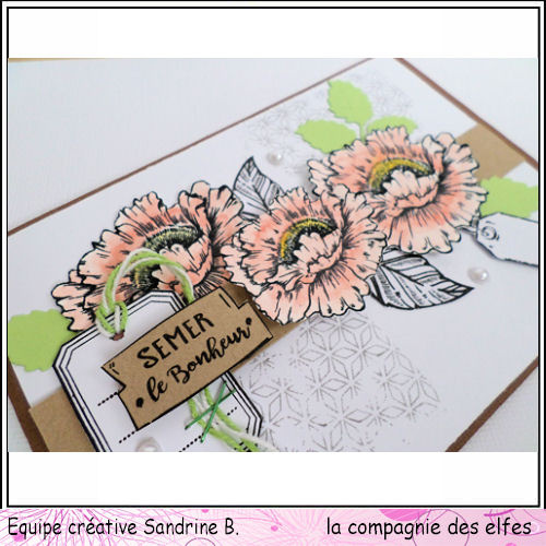 carte theme bonheur 3/3 à programmer Bonheu11