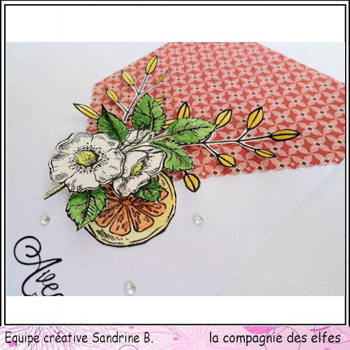 Cartes octobre 2018. Botani10