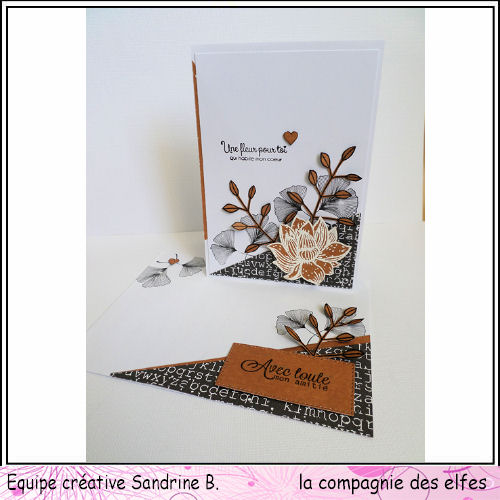 Cartes de Juin 2019. Kit110