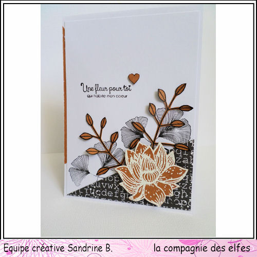 Cartes de Juin 2019. Kit210