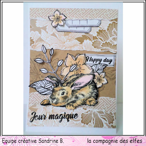 Cartes de Mars 2021. Lapin111