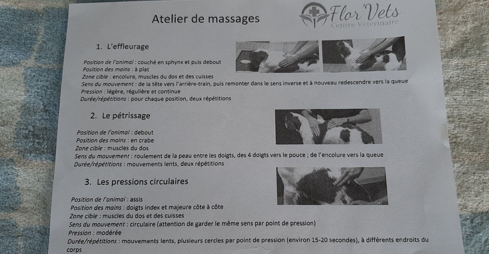 Le massage canin Mass_110