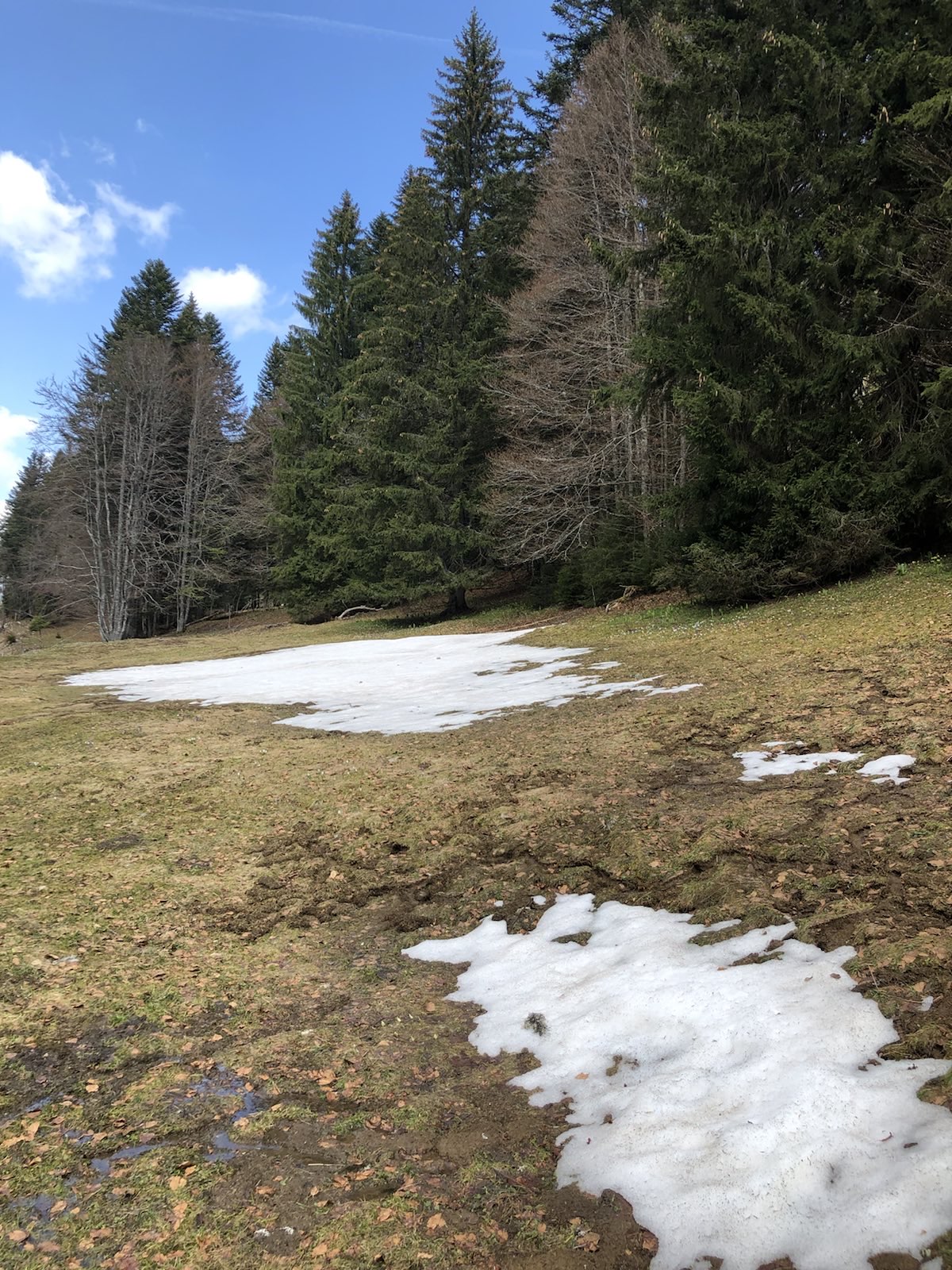 Une petite boucle dans la Jura J2_5a_10