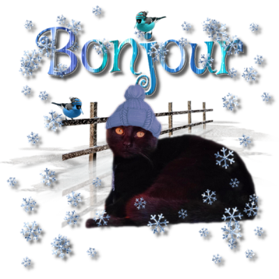 Bnjour/bonsoir de décembre 2022 - Page 3 16012012