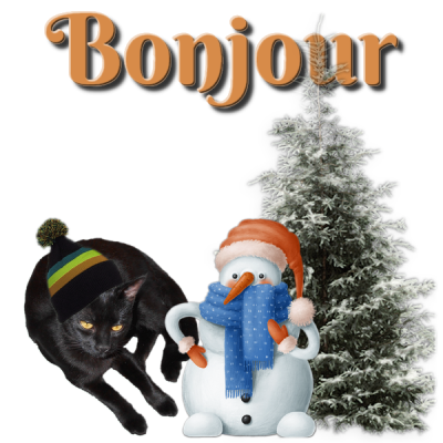 Bnjour/bonsoir de décembre 2022 - Page 3 22122011