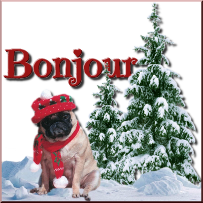 Bnjour/bonsoir de décembre 2022 30112014