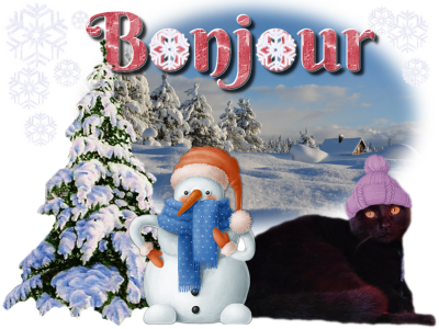 Bnjour/bonsoir de décembre 2022 - Page 3 30122022