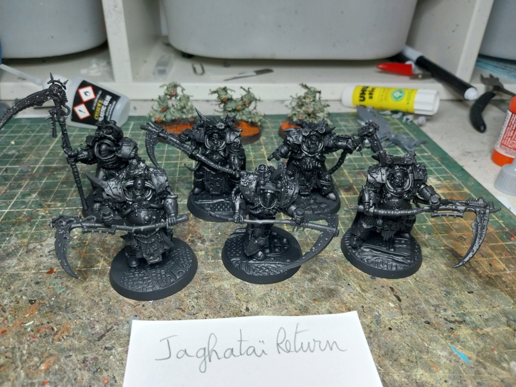 [Fini][chaos death guard Thyrio] 6 Deathshrouds 240 pts 20240210