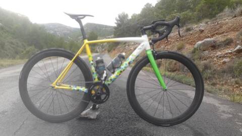 Specialized Langster Rio