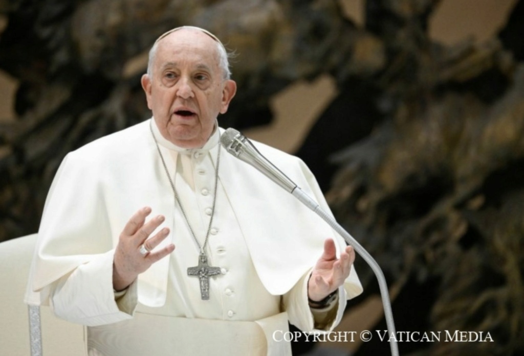 Catéchèses du pape François sur le thème des vices et des vertus Audien17