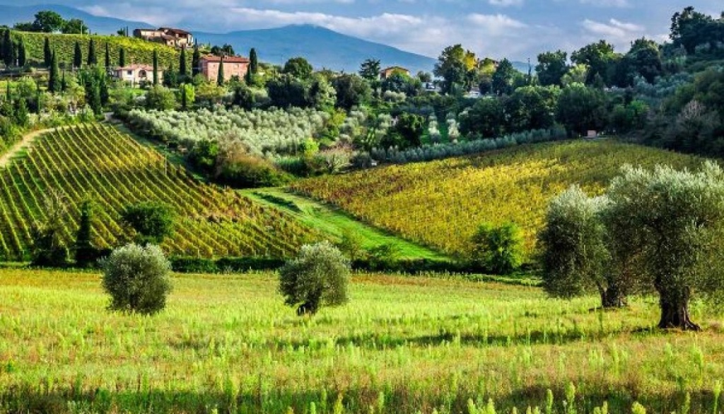 L'Italie relance la natalité en offrant des terres Tosc-e11