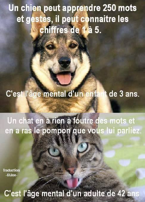 images humour  - Page 32 Bb376a10