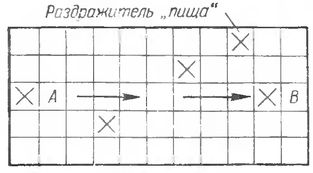 02.06. НЕХВАТКА ЕСТЕСТВЕННОГО ИНТЕЛЛЕКТА - Страница 4 Am736410