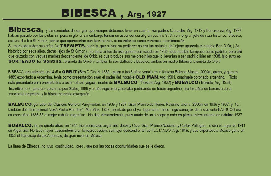 1941 - BIBESCA - 80 AÑOS 1941-b13