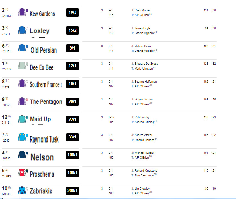 2018 ST LEGER - DONCASTER 2900M.  2018_s11