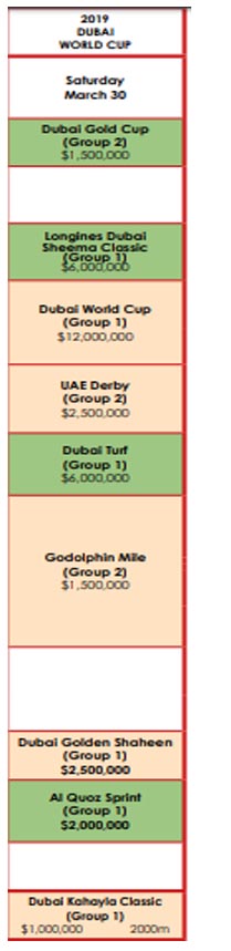 2019 - 2019 dubai world cup Dubai-10