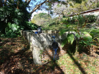 Hacer - Un bergantín de principios del siglo XVI para el lago de Texcoco. - Página 6 Dsc03312