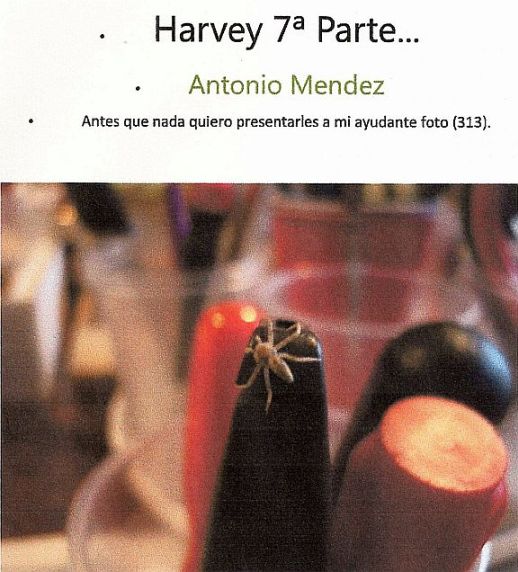 El Harvey de Artesanía Latina... Harvey32