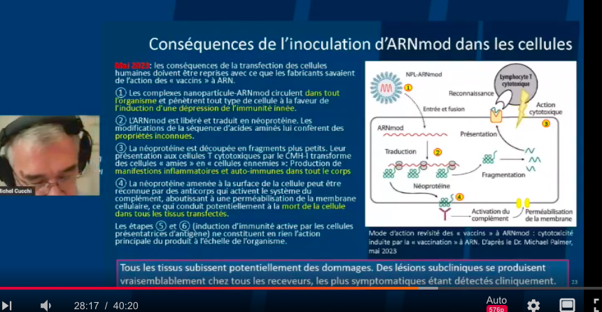 Vaccin Covid , et si on en parlait ici .... - Page 8 Captur42