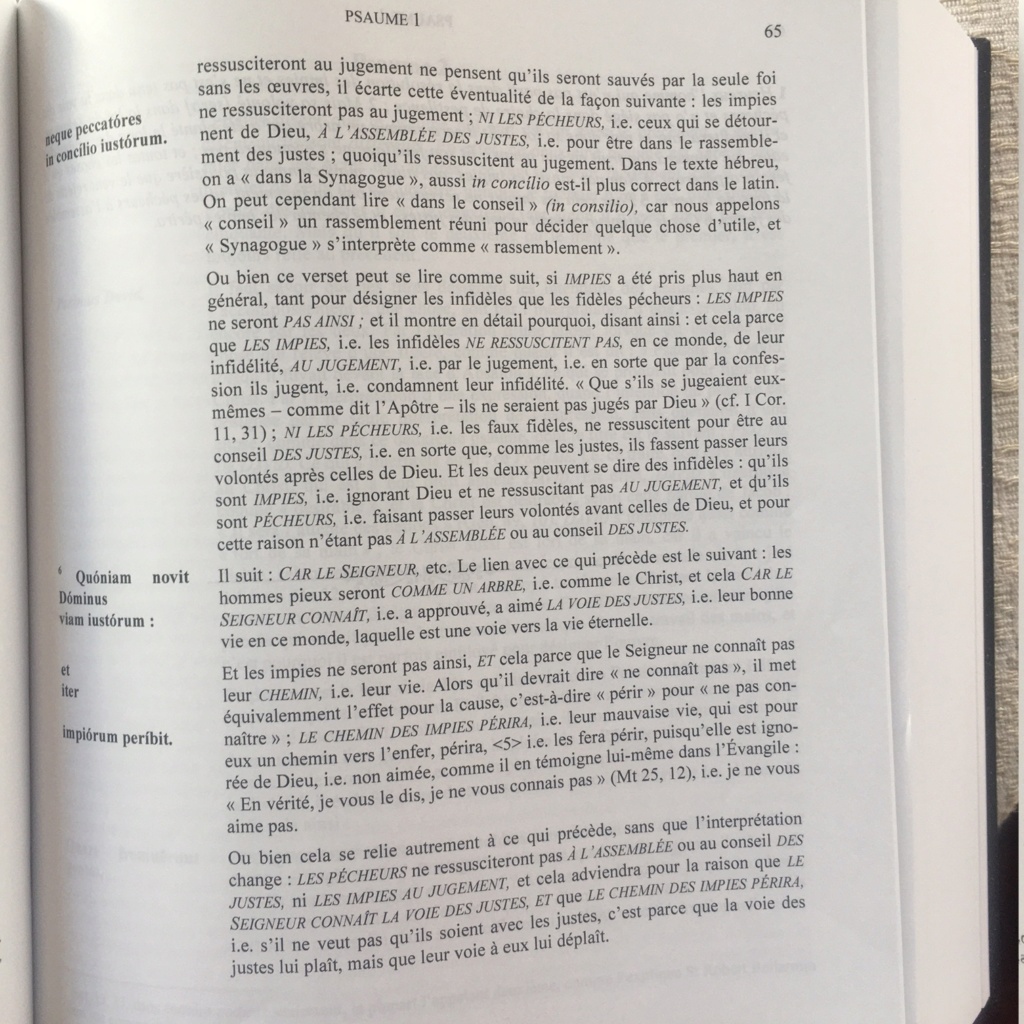 Aurore boréale de 1938  et Fatima + accès topics site Gilbert chevalier - Page 2 St_bru11