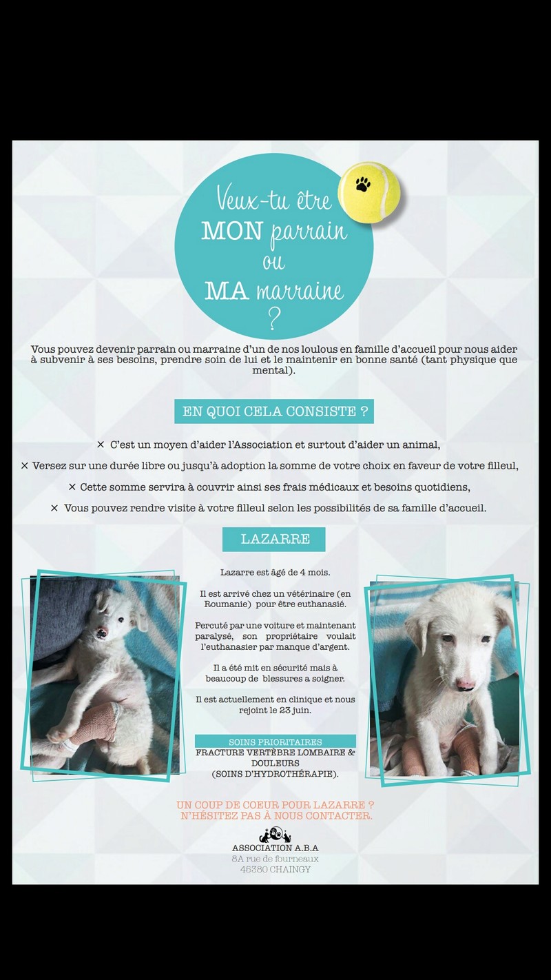LAZARRE - joli mâle croisée de grande taille adulte, né en janvier 2018. Handicapé (PASCANI) - Adopté par Sabine (Belgique) - décédé - Page 3 20180610
