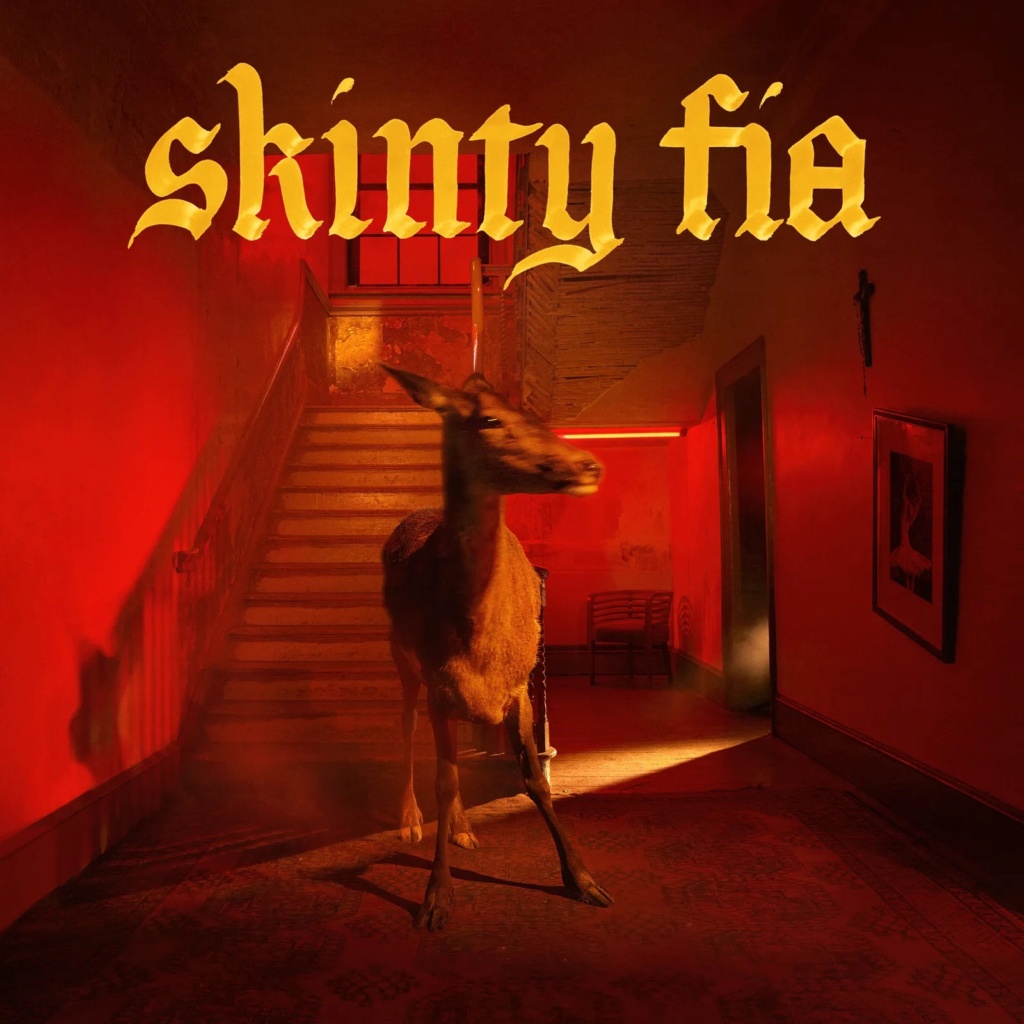 FONTAINES D.C  - "Skinty Fia" (22 Abril 2022) - Discarral - Página 6 Skinty10