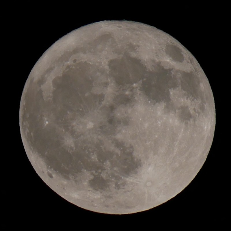 Lune FZ300 vs GX80 à 600 mm Moongx10