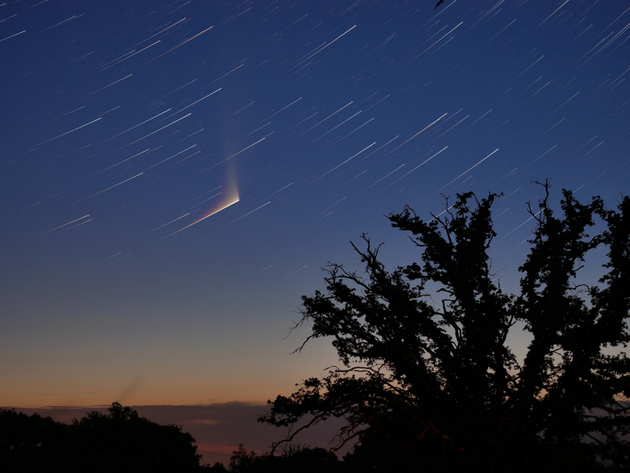 Comète Neowise Starst16