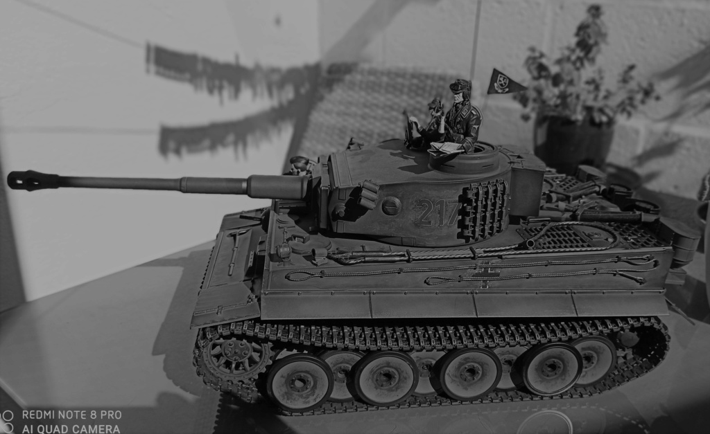 TIGER I - RC Panzer - Taigen 1/16 Img_2037