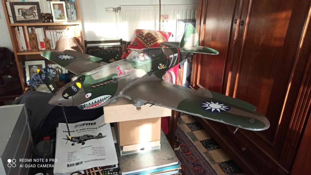 Curtiss P-40 Hawk RC [FMS 1/12°] de Philippe R. DAVID Img_2288