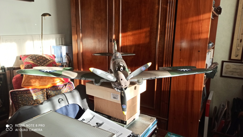 Curtiss P-40 Hawk RC [FMS 1/12°] de Philippe R. DAVID Img_2289