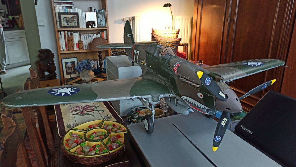Curtiss P-40 Hawk RC [FMS 1/12°] de Philippe R. DAVID Img_2316