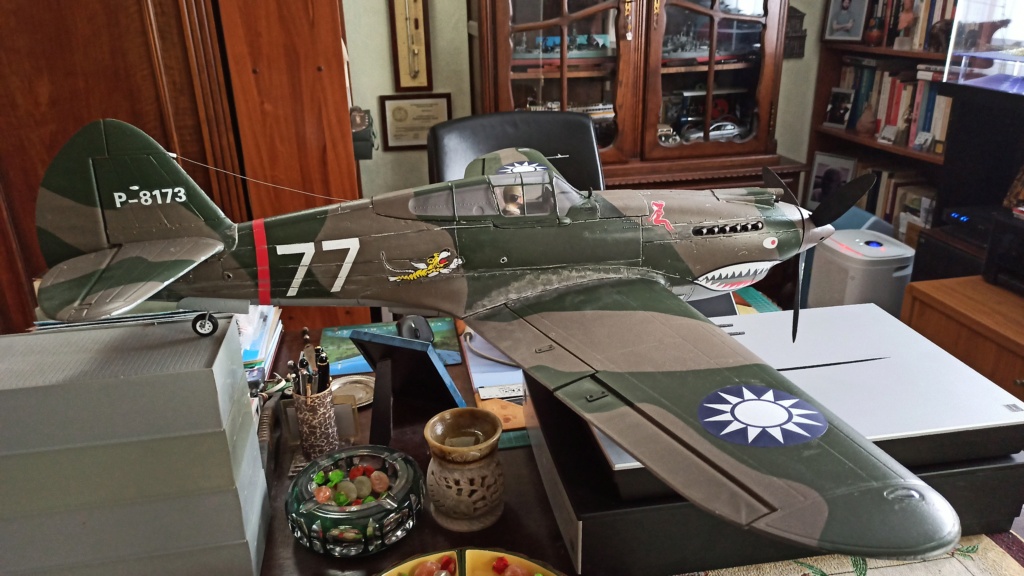Curtiss P-40 Hawk RC [FMS 1/12°] de Philippe R. DAVID Img_2318