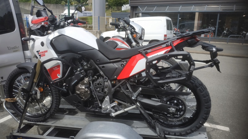 Acerbis xfactor Img_2142