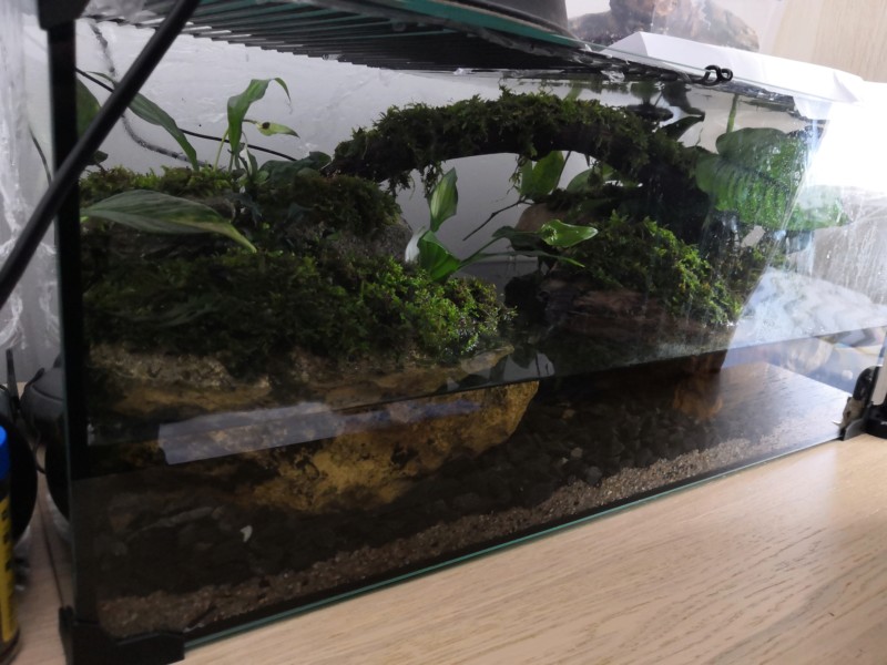 Système brumisation automatisé pour Paludarium 20190510