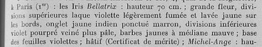 Iris 'Jacquesiana' ( ou pas )  - Jean-Nicolas Lémon 1840 - Page 4 Bella10