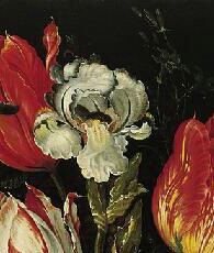Iris plicata en peinture Bruegh12