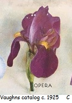 Identifications erronées d'iris Opera-11