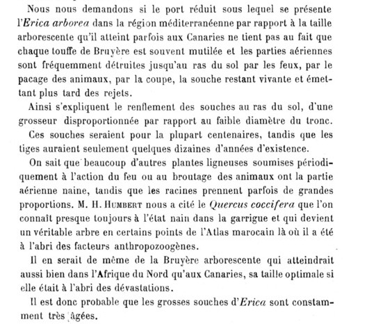 La collec' de Monsieur de Mesmaeker - Page 19 A_c10